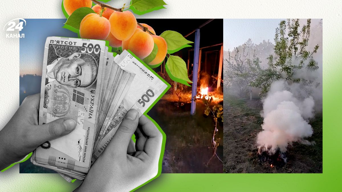 Що буде з фруктовою галуззю через морози